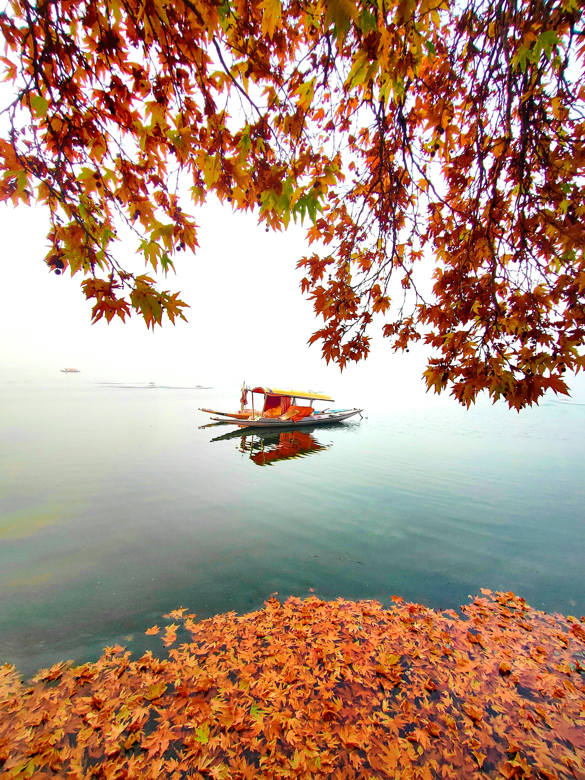 Srinagar, J&K